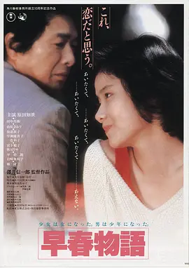 雾港回声高清电影在线观看